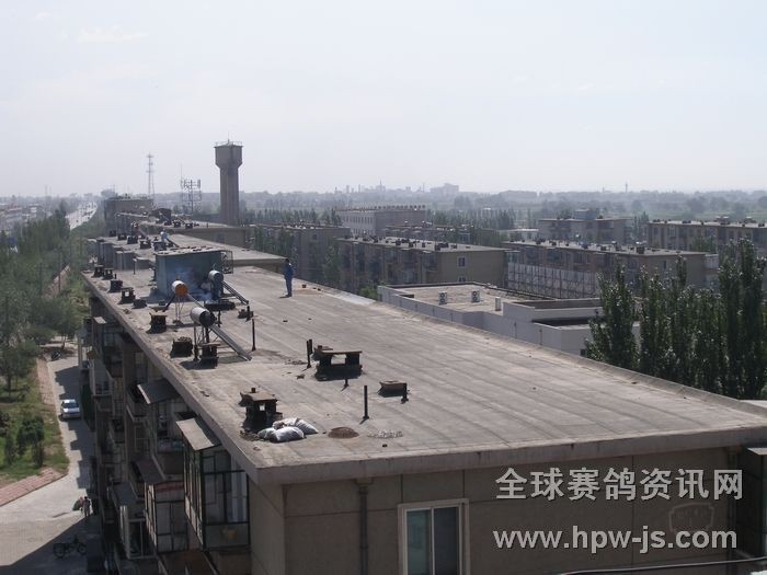 圖二 賽鴿歸巢的必經(jīng)之處