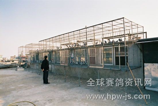 楊人渠先生的鴿舍(二名母系的大本營(yíng))
