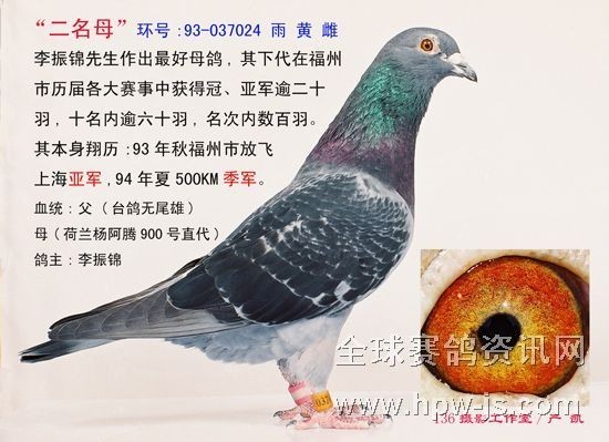 此照拍攝于2000年底