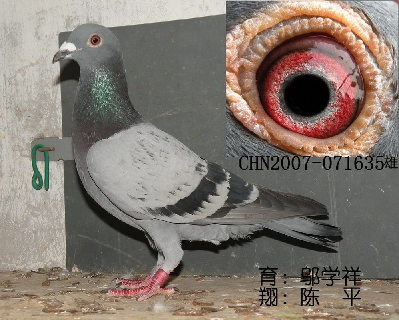 ڶƽӭh(hun)̖(ho)071635.c(din)ɰ