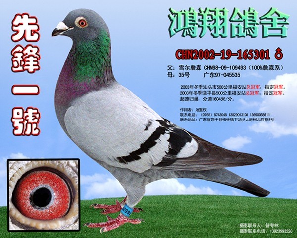前鋒一號(hào)之外祖父先鋒一號(hào)