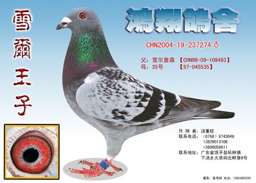 前鋒一號(hào)之父雪爾王子