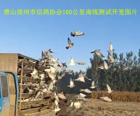 ɽf(xi)160Ͼyԇ_\֪ͨ