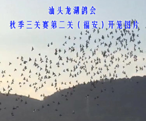 ^2019＾P(gun)ِڶP(gun)_\DƬ