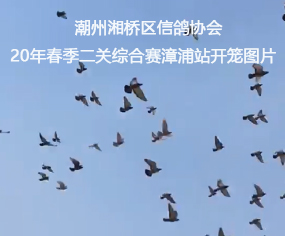 ^(q)f(xi)20괺P(gun)Cِվ_\DƬ