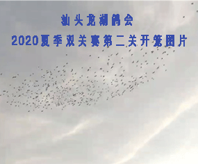 ^2020ļpP(gun)ِڶP(gun)_\DƬ