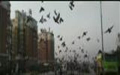 l(xing)hِ㘷(l)200Yِ_(ki)\ҕl