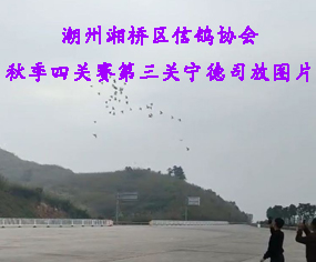 20＾P(gun)ِP(gun)_\rg˾ňDƬ