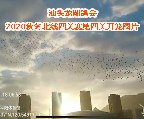 ^--2020ﶬP(gun)ِP(gun)ƽꖣ_\