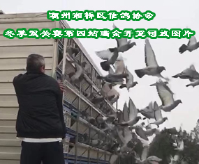 ^(q)f(xi)20궬pP(gun)ِվ_\rg˾ňDƬ