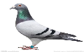 ِYQʲôw
