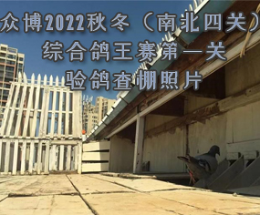 2022ﶬϱP(gun)CِһP(gun)(yn)Ƭ