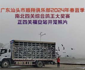 V|^㘷2024괺ļϱP(gun)C(jing)ِP(gun)վ_\Ƭ