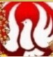 옷(l)B(nio)(xiaosenge)